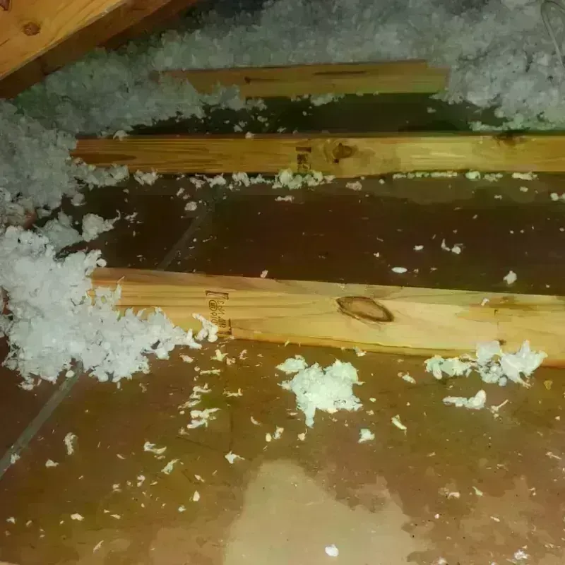 Attic Water Damage in Goochland, VA